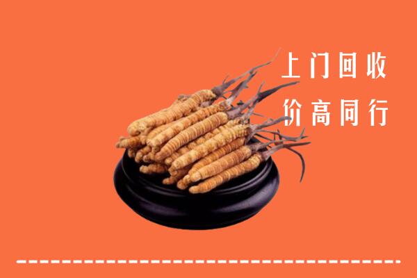 高价求购：邵阳市邵阳区回收散虫草
