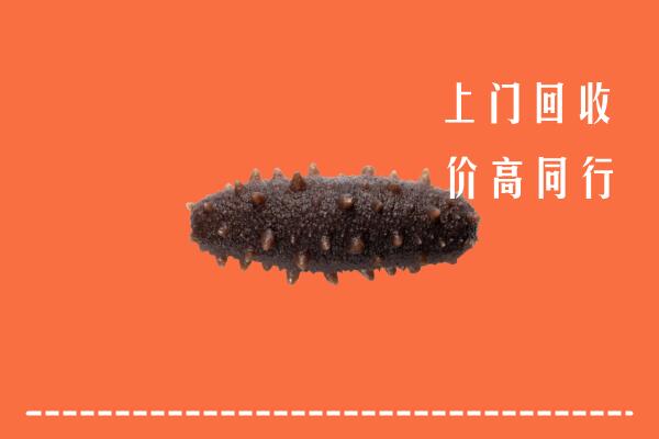 高价求购：邵阳市邵阳区回收海参