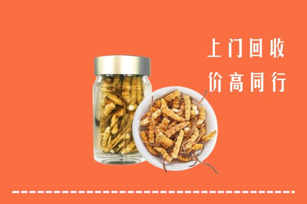 邵阳市邵阳区回收冬虫夏草